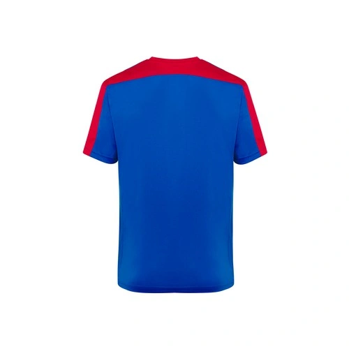 COMPRAR CAMISETA DE RAYAS VERTICALES DE FÚTBOL CON CUELLO DE PICO REF PREMIERTSA JHK