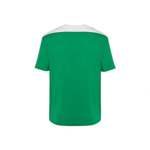 COMPRAR CAMISETA DE RAYAS VERTICALES DE FÚTBOL CON CUELLO DE PICO REF PREMIERTSA JHK