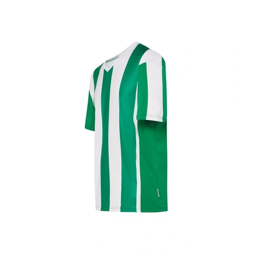 COMPRAR CAMISETA DE RAYAS VERTICALES DE FÚTBOL CON CUELLO DE PICO REF PREMIERTSA JHK