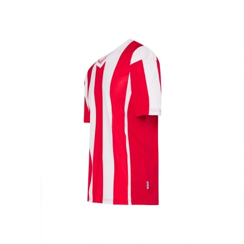 COMPRAR CAMISETA DE RAYAS VERTICALES DE FÚTBOL CON CUELLO DE PICO REF PREMIERTSA JHK