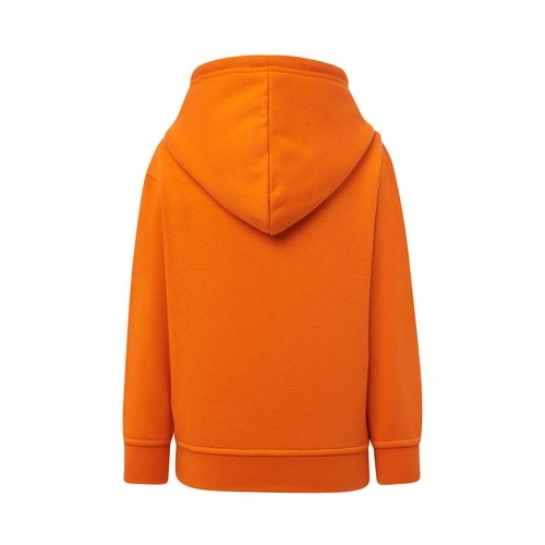 COMPRAR SUDADERA INFANTIL CON CAPUCHA REF SWRKKNG JHK